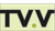Logo TV Valkenswaard (50x50)