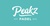 Logo Peakz Padel Amsterdam - Zuidas (50x50)