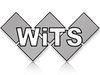 Logo Wits Tennis (100x100)
