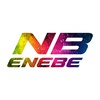 Logo Enebe (100x100)